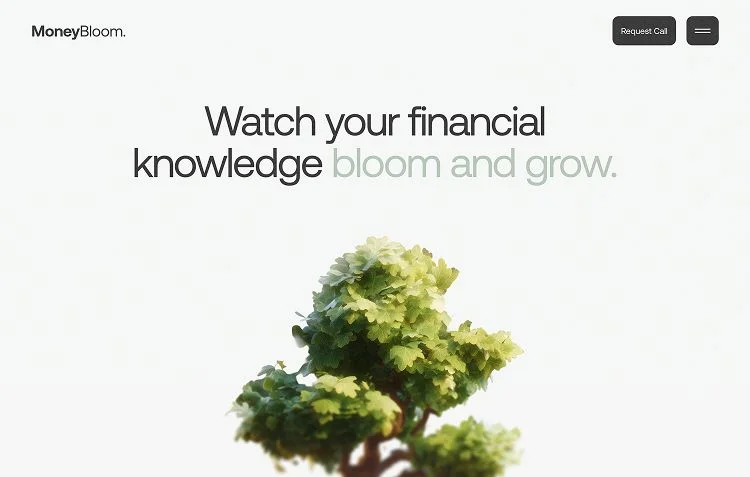MoneyBloom website: financial education